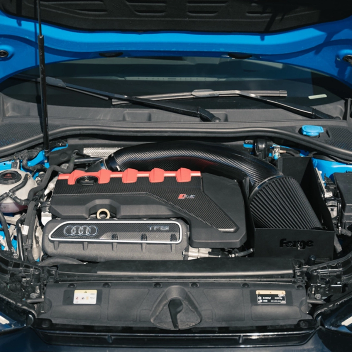 Forge Motorsport Karbon Fiber Hava Emme Kiti - Audi RS3 8Y-8V, RSQ3 F3, TTRS 8S, Cupra Formentor