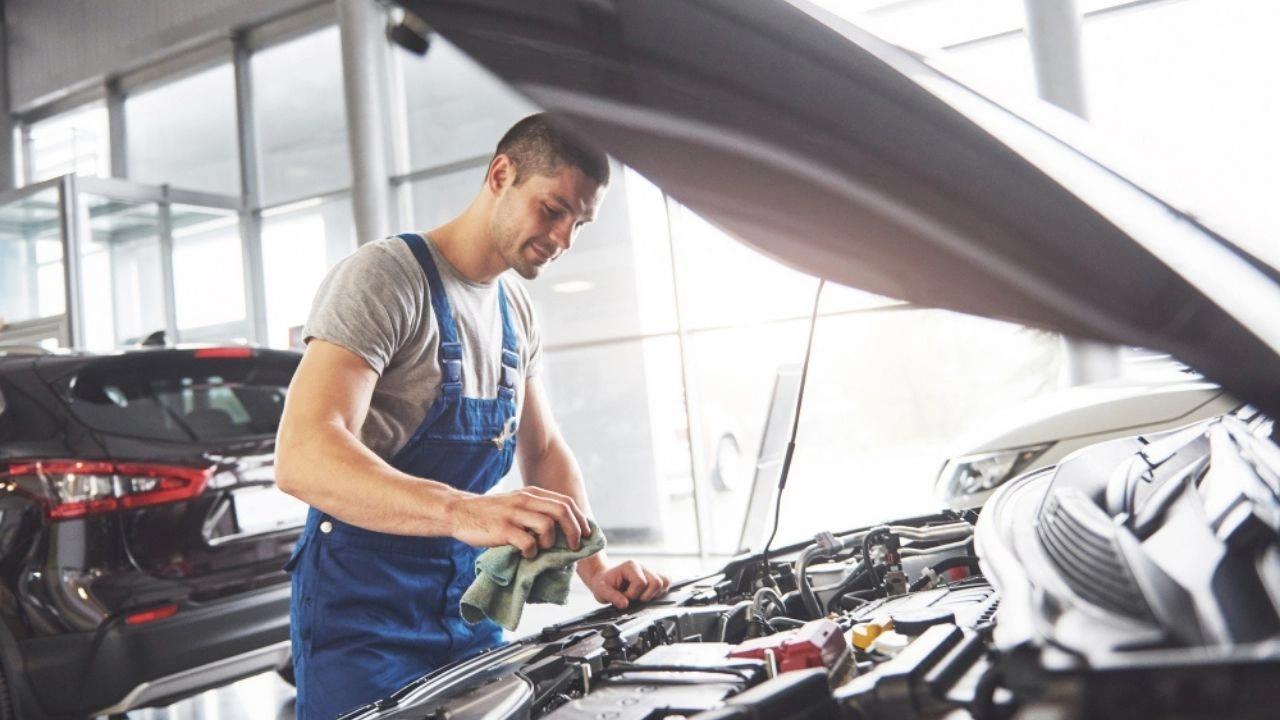 Polen Filtresi Nedir?