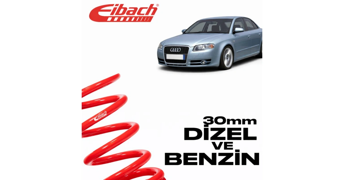 6979ca4beca63_eibach-audi-a4-