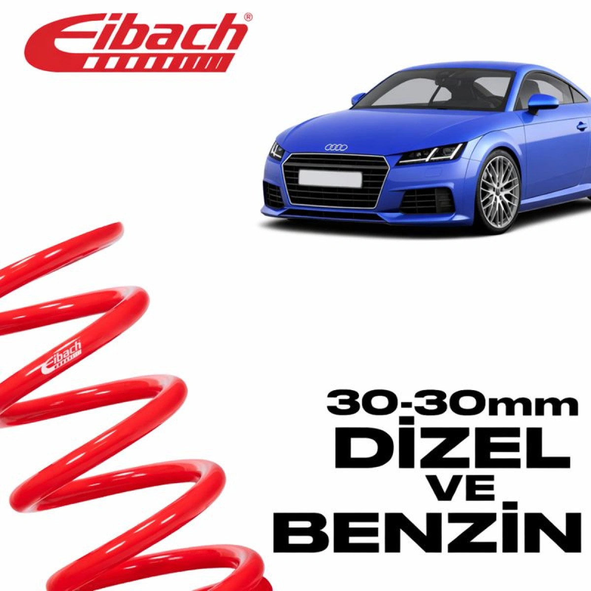 Eibach Audi TT FV3, FV9 Pro-Kit E10-15-022-01-22 30/30mm Spor Helezon Yay