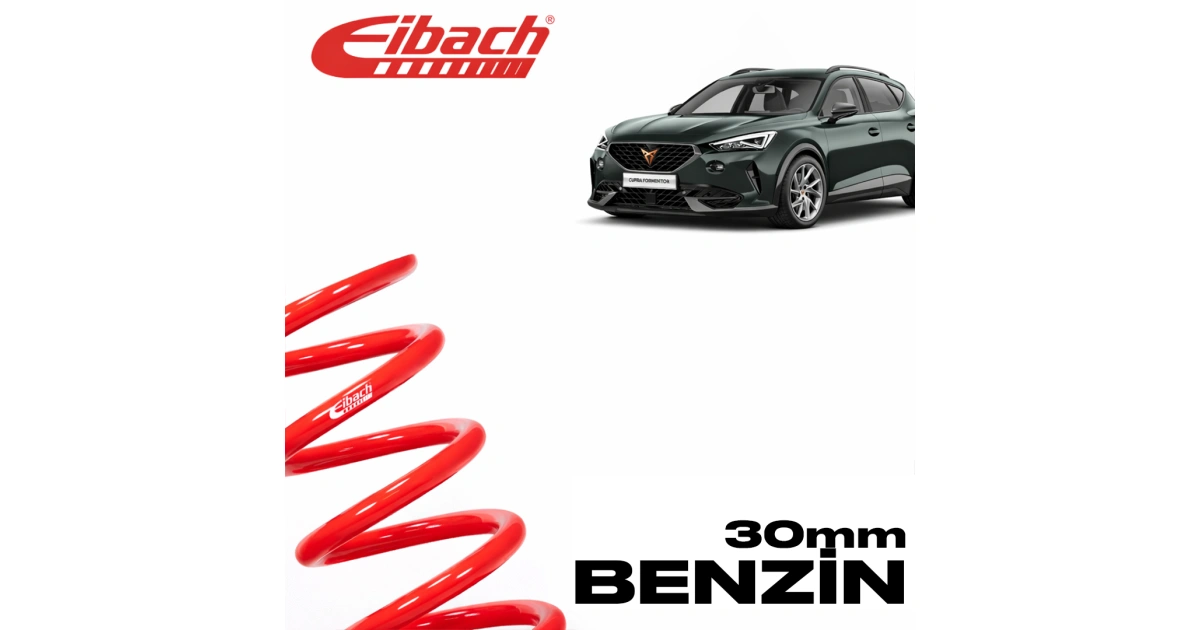 697b653ea036e_eibach-cupra-