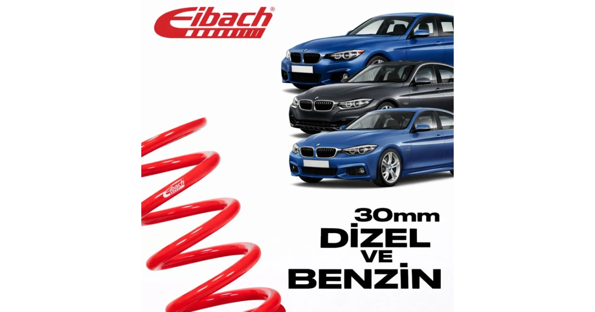 697b3bcdaef23_eibach-bmw-f30-