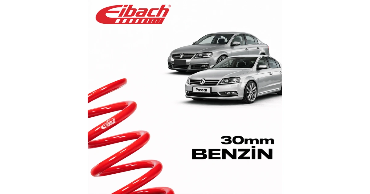 697b62147280e_eibach-