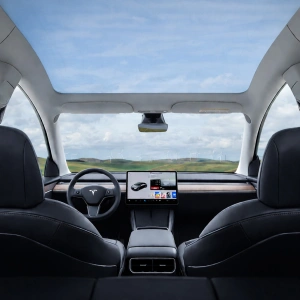 XPlagin Tesla Model Y (2020-2024) PDLC Sunroof Akıllı Cam Tavan (Beyaz-Şeffaf Kumanda Kontrollü)