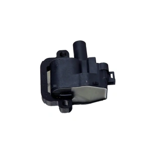 Haltech HT-020102 GM LS1 Ateşleme Bobini - Dahili Ateşleyicili