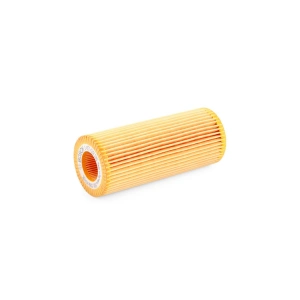 Bosch 1457429185 Yağ Filtresi - BMW E81 120d - N47 Dizel - 1 Adet