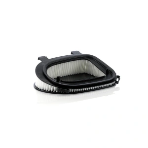 Mann-Filter C36014 Hava Filtresi - BMW X3 F25 X5 F15 X6 E71 Dizel