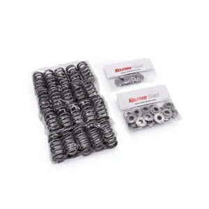 Kelford KVS273-BT Beehive Supap Yayı ve Titanyum Retainer Seti - Audi RS3 8V 8Y - TTRS 8S DAZA DNWA