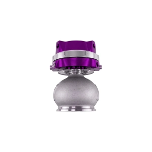 GenV PowerGate60 14psi Mor External Wastegate