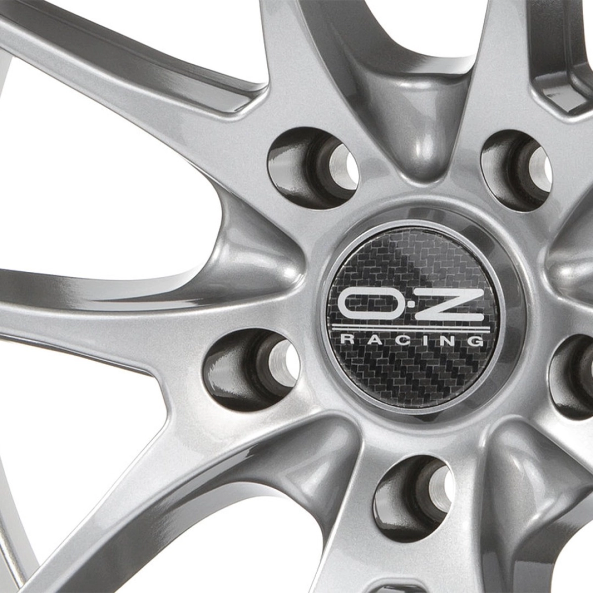 OZ Racing Leggera HLT Grigio Corsa Bright 5x112 10x19 ET38 Takım Jant